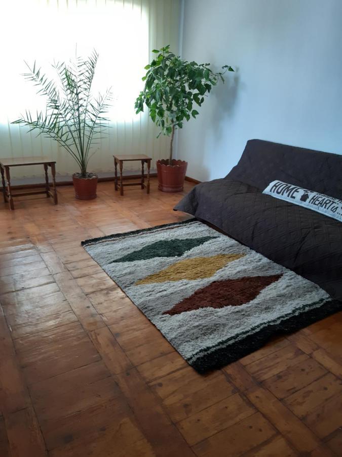 Iulia Sulina 2 Apartment Exterior photo